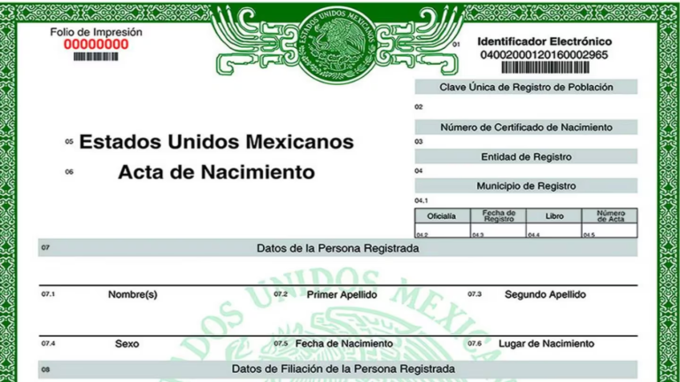 Cómo Puedo Ver Mi Acta de Nacimiento en Linea